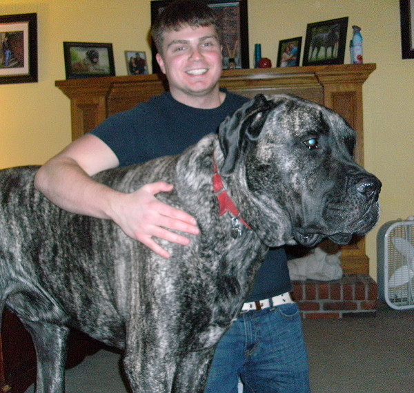 Chat gay gratuit hard