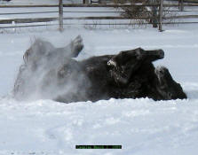 Caspian March 2, 2008