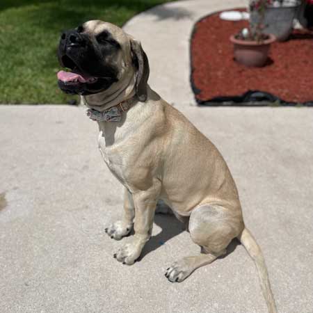 captain marvel sitting