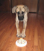 Birthday cake February 1, 2010